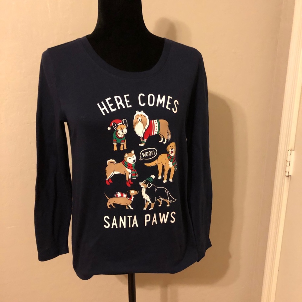 Here comes Santa paws